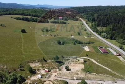 Teren de 5561 mp, în Paltin - 11