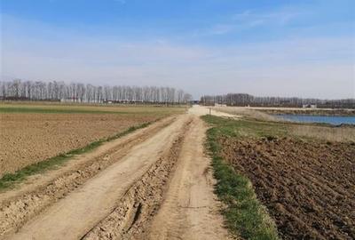 RECO Teren Santion - 4