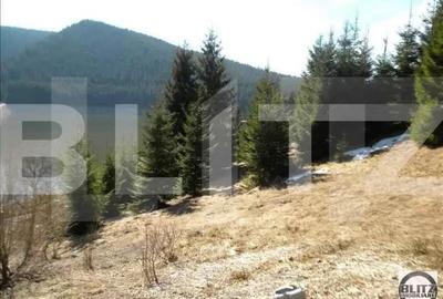 Teren de 3000 mp, în Sud - 6