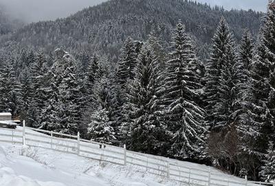 Teren de 580 mp, în Turcheș - 8