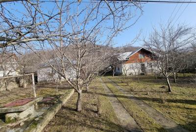 Casă individuală cu 4 camere cu Teren 1523 Mp în Cărbunești - 5