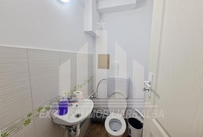 Spațiu comercial, de 400 mp, în Cetate - 13