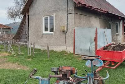 Constructie noua din bca - 1