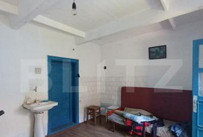 Casa renovabila, 3 camere, 1400 mp teren, in Mihai Viteazu - 15