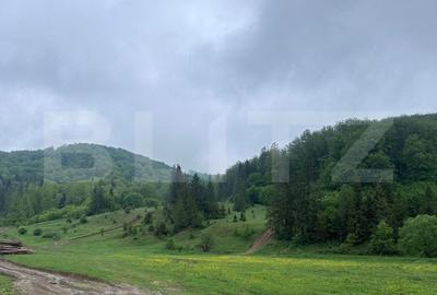 Teren intravilan 20.000 mp, zona Soarecului, Marginea - 2