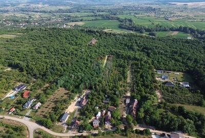 OPORTUNITATE PENTRU DEZVOLTATORI Teren de vanzare - Satu Nou de Jos - 4