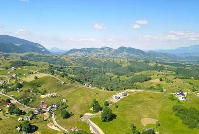 Teren intravilan - 5