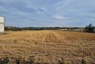 Teren de 3400 mp, în Balș - 6