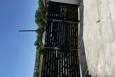 Casa de vanzare Stauceni Botosani - 3