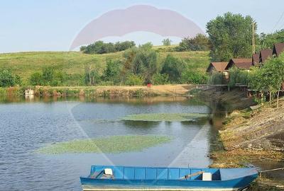 Ferma Piscicola ?i teren de 339ha Gruia / Drumul 56C - 8