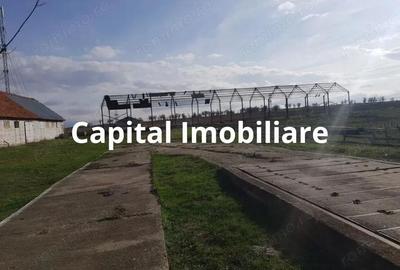 Casă cu 3 camere cu Teren 24281 Mp în Ciortea - 4