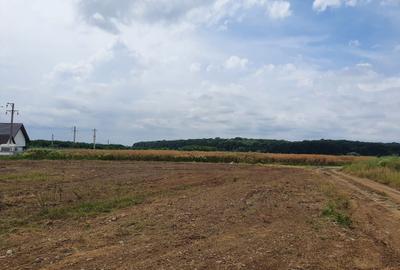 Spațiu comercial, în Izvorani - 2