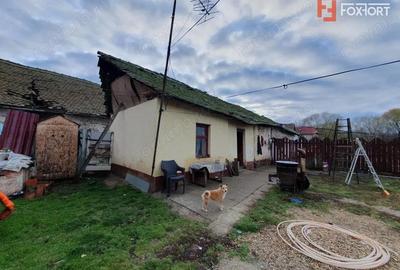 Teren de 1300 mp, în Jebel - 6