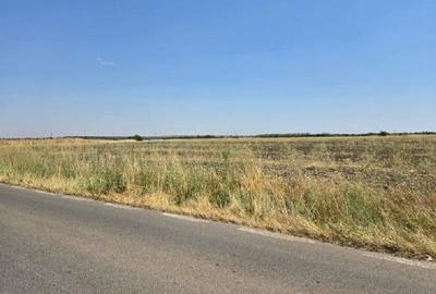 Teren de 4300 mp, în Smârdioasa - 5