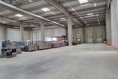 Depozit/hala/spatiu industrial Mogosoaia - Centura, Ilfov - 1