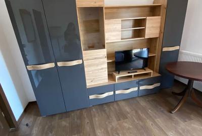 Apartament cu 2 camere semidecomandat în Cetate - 2