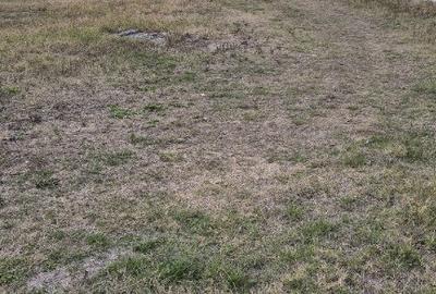 Teren intravilan, vedere la Dunare, 1000mp - 3