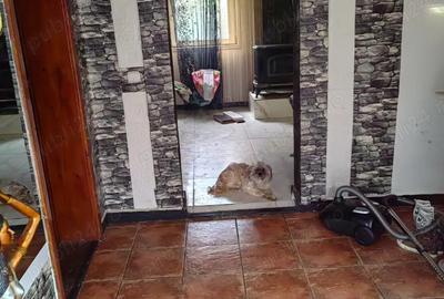 Casa De Vanzare Sacosu Turcesc - 2