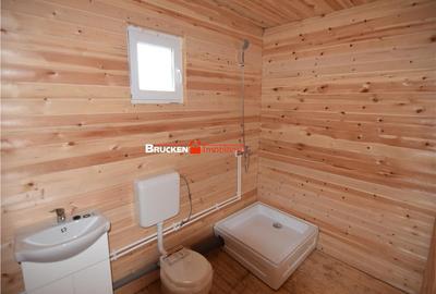Casă cu 2 camere cu Teren 3132 Mp în Almașu Mic (Balc) - 6