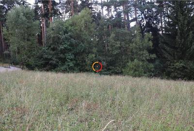 Teren intravilan cu PUZ si PUD 2 loturi - 14