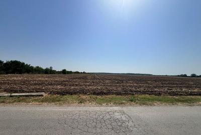 Teren de vanzare Intravilan Caciulati Autostrada A3 Drumul Teilor COMISION 0% - 10