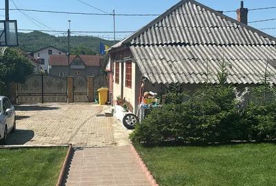 Propietate de vanzare,cu spatiu comercial 47mp, stradal dn7 pitesti Valcea,dupa hanul valea ursului! - 8