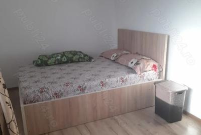 Apartament cu 2 camere semidecomandat în Drăgășani - 6