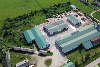 Hale de vanzare-ideale pentru depozit sau productie - 9
