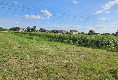 Teren intravilan 1000 mp – asfalt, utilități în apropiere – Moara Vlăsiei - 8