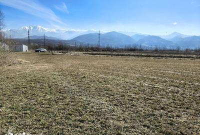 Teren de 2800 mp, în Turnu Roșu - 13