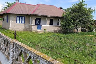 Casă cu 3 camere cu Teren 1800 Mp în Fulga - 4
