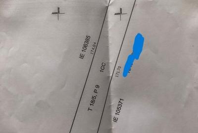 Teren |  Soseaua Oltenitei | Popesti Leordeni Teren |  Soseaua Oltenitei | Popesti Leordeni - 3