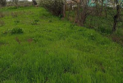 Apartament în Blăgești - 7