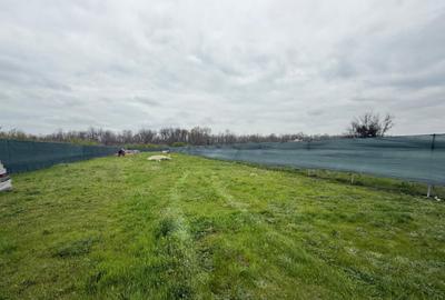 Teren intravilan Magurele, zona Pruni 1387mp - 4