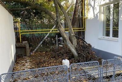 Vanzare casa stil vagon | 1 Mai - Expozitiei | - 6