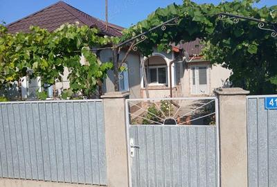 Casă cu 3 camere cu Teren 1756 Mp în Chilia Veche - 7