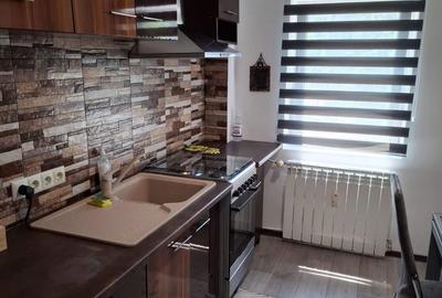 Apartament cu 2 camere decomandat în Crihala - 6