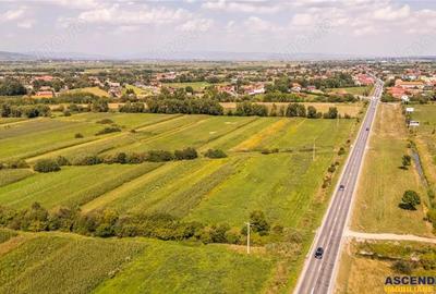 Teren extravilan Lunca Calnicului langa E574 - 18