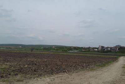 Teren de 7985 mp, în Beharca - 2