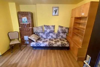 Casa individuala Andronache | Curte | Centrala proprie | Pet Friendly - 6