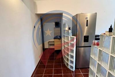 Apartament cu 2 camere semidecomandat, mobilat în Brazda lui Novac - 8