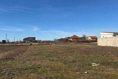 Teren Construcții de 707 mp, în Dumbrăvița - 3