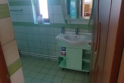 Hotel/Pensiune, de 175 mp, în Baia de Fier - 20