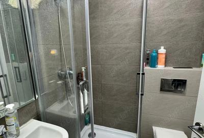 Apartament cu 3 camere decomandat în Baba Novac - 5