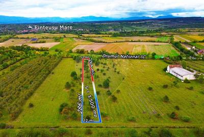 Teren de 3500 mp, în Periferie - 3
