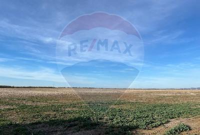 Teren de vanzare 17500 mp DN1 Paulesti - 4