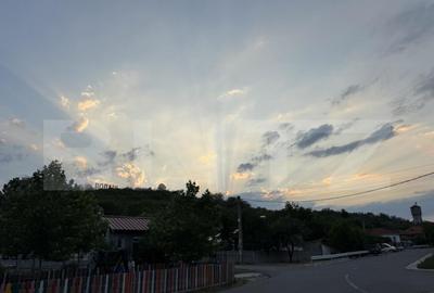 Casa batranesca, 97,57 mp utili, 1100 mp teren, Podari - 15