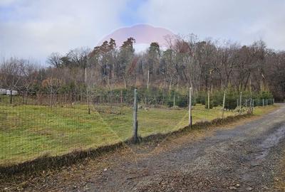 Teren  vanzare 1441 mp Cisnadioara strada Ciresilor - 3