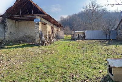 Teren de 1800 mp, în Ciclova Română - 7