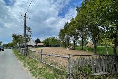 Loc casa , cu sura mare la munte in com Batrana Loc casa , cu sura mare la munte in com Batrana - 6